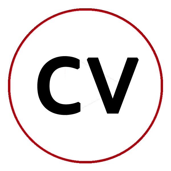 Curriculum CarlosAE